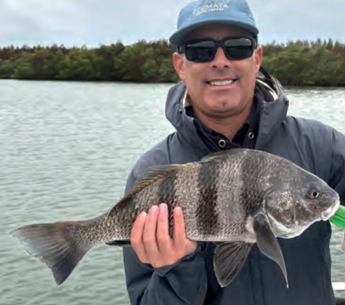 An angler holding a black drum with a mangrove shoreline behind him