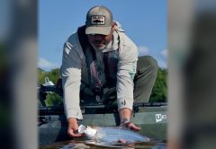 An angler releasing a tarpon beside his kayak