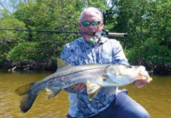 An angler kneeling in shallow water with a big snook