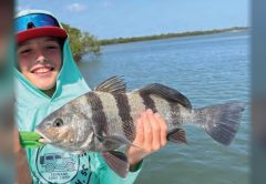 A young angler holding a sheepshead in front of the mangroves