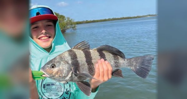 A young angler holding a sheepshead in front of the mangroves
