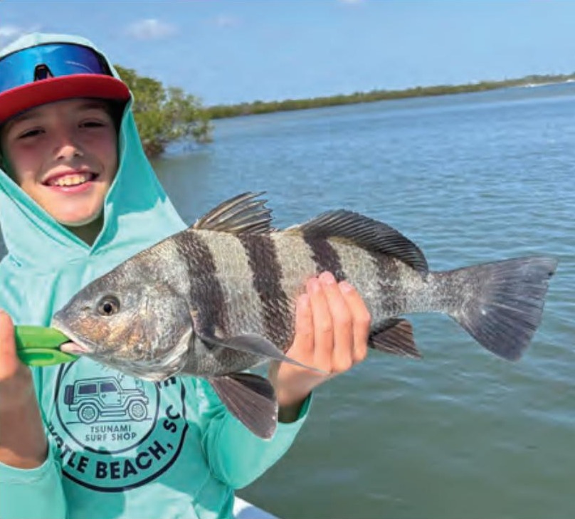 A young angler holding a sheepshead in front of the mangroves