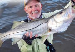 An angler standing in the water holding a big snook