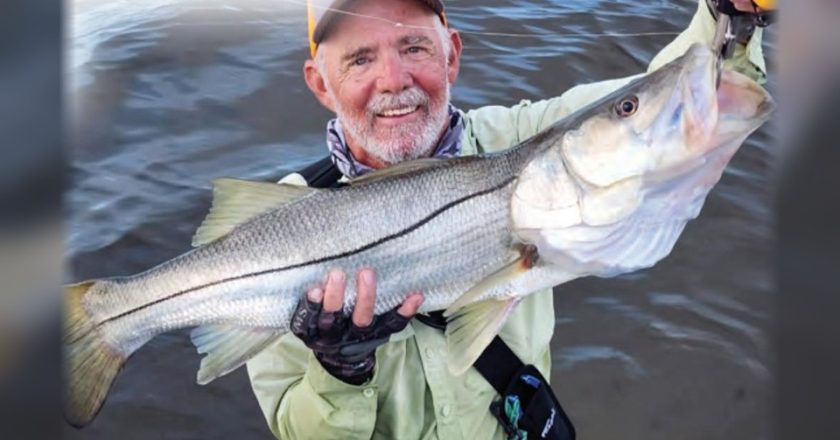 An angler standing in the water holding a big snook
