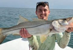 Angler holding a snook on a Yellow Dawg Fishing charter near Ponce Inlet
