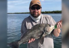 Angler holding a black drum