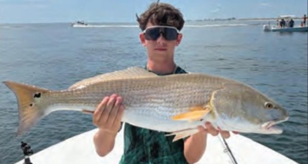 Young angler holding a redfish on a Yellow Dawg Fishing charter near Ponce Inlet