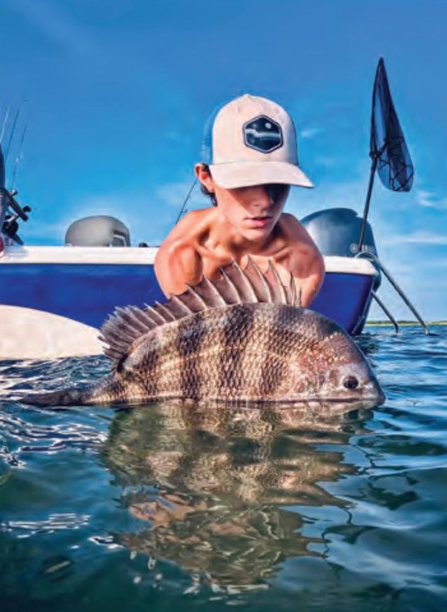 Angler holding a big sheepshead at the water's surface
