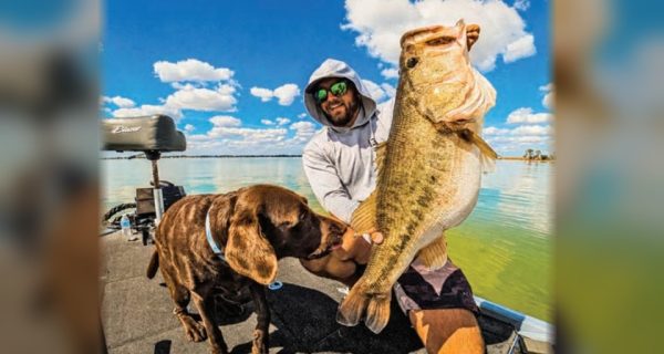 Capt. Tyler Woolcott with a big largemouth bass and his chocolate lab