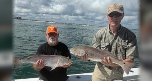 Two anglers holding bull redfish on a boat