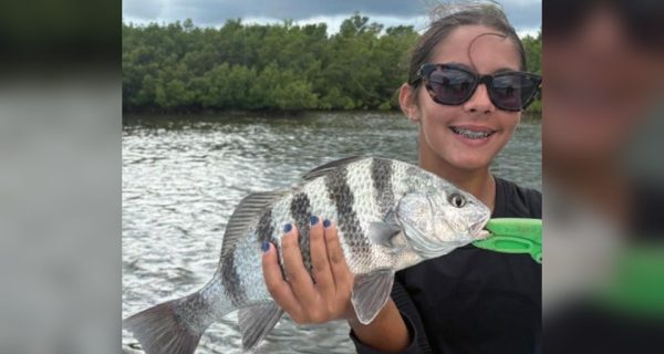 Young angler holding a sheepshead in the Edgewater backcountry