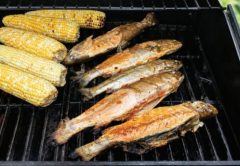 Rainbow trout and sweet corn on the grill after a day of trolling on Lake Blanc in Quebec