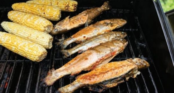 Rainbow trout and sweet corn on the grill after a day of trolling on Lake Blanc in Quebec
