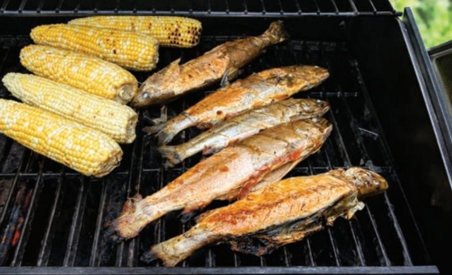 Rainbow trout and sweet corn on the grill after a day of trolling on Lake Blanc in Quebec